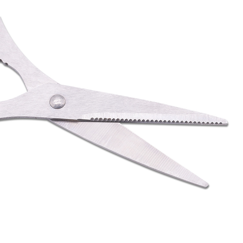 Ciseaux en acier inoxydable, c - Baby Food Scissors avis et prix