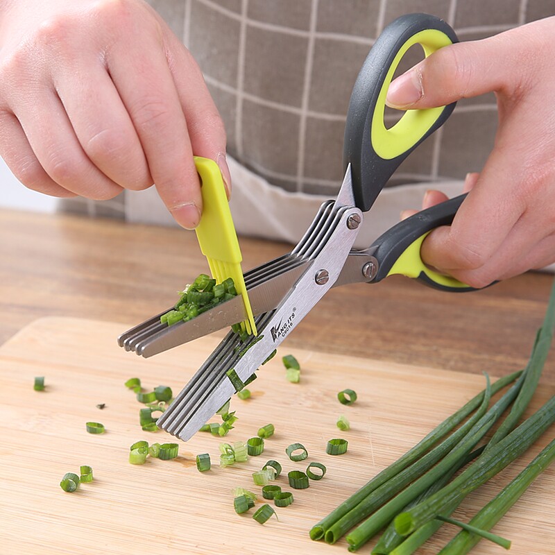 Ciseaux à Ciboulette Hachée, C - Baby Food Scissors avis et prix