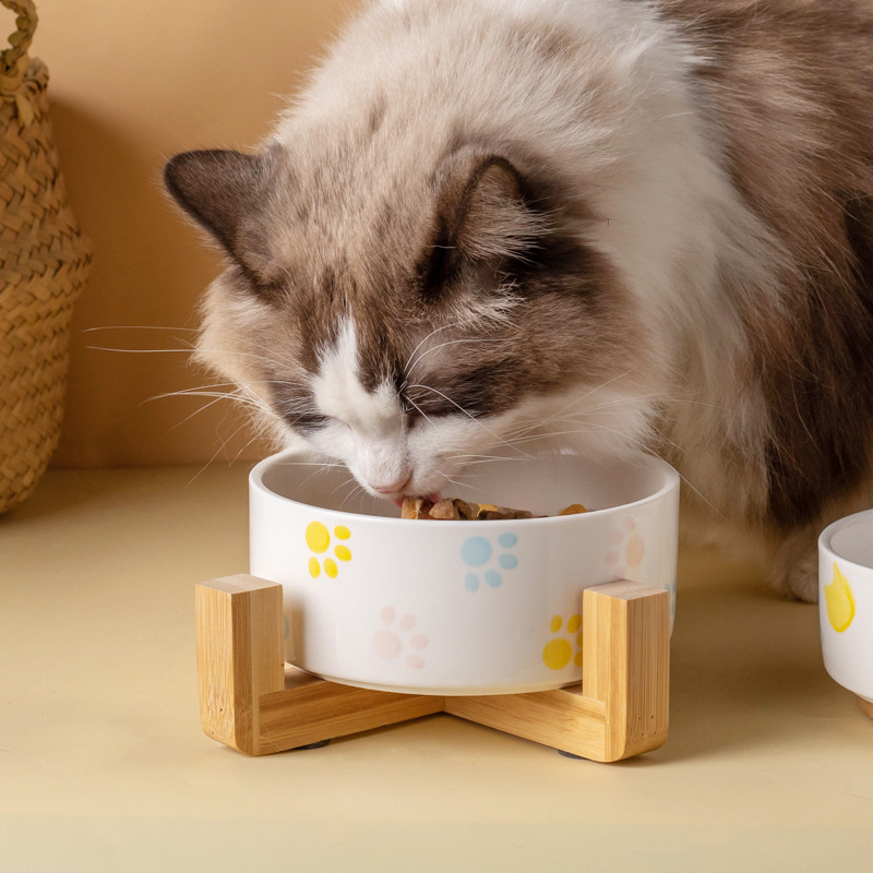 Bol en céramique pour chien av - Baby Food Cat avis et prix