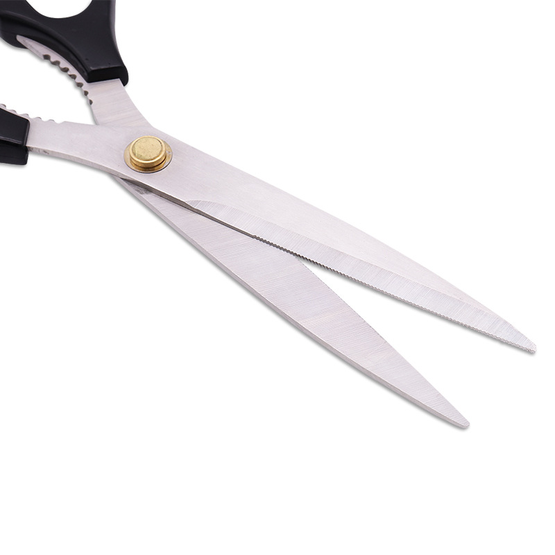 Ciseaux de barbecue pour bébé, - Baby Food Scissors avis et prix