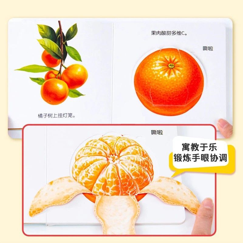 Flipbook pour l'éducation des  - Baby Food Age avis et prix